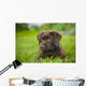 Labrador Retriever Wall Mural