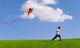 Child Flying A Kite Wall Mural