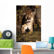 Stalking Mountain Lion Wall Mural