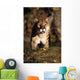 Stalking Mountain Lion Wall Mural