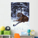 Siberian Tiger Lying On Mound Of Snow In Forest Wall Mural