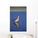 Willet Shorebird Wall Mural