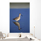 Willet Shorebird Wall Mural