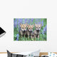 Three Wolf Pups Wall Mural