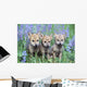Three Wolf Pups Wall Mural