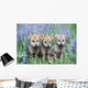 Three Wolf Pups Wall Mural