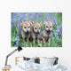 Three Wolf Pups Wall Mural