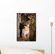 Mountain Lion Wall Mural