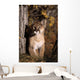 Mountain Lion Wall Mural