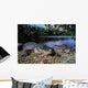 American Alligators Wall Mural