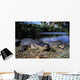 American Alligators Wall Mural