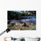 American Alligators Wall Mural
