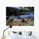 American Alligators Wall Mural