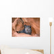 Bobcat In Sandstone Formation Wall Mural