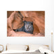 Bobcat In Sandstone Formation Wall Mural