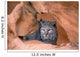 Bobcat In Sandstone Formation Wall Mural