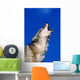 Howling Coyote Wall Mural