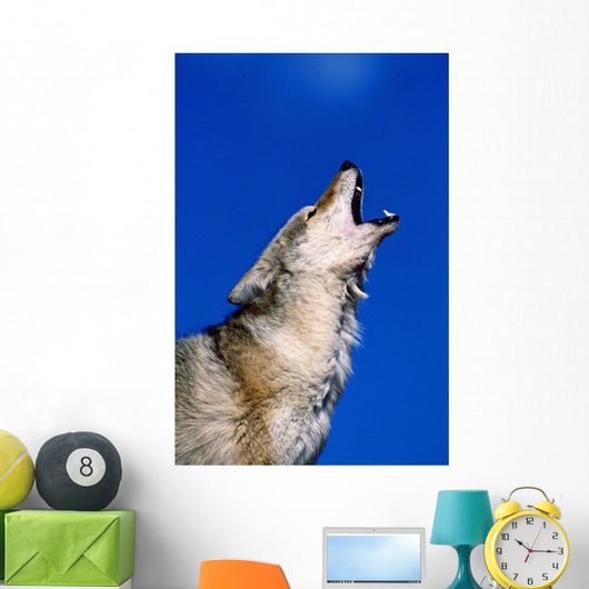 Howling Coyote Wall Mural