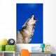 Howling Coyote Wall Mural