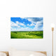Field Summer Flowers and Wall Mural