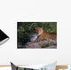 Leopard Laying On Kopje, Serengeti National Park Wall Mural