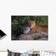 Leopard Laying On Kopje, Serengeti National Park Wall Mural