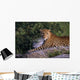 Leopard Laying On Kopje, Serengeti National Park Wall Mural