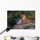 Leopard Laying On Kopje, Serengeti National Park Wall Mural