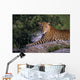 Leopard Laying On Kopje, Serengeti National Park Wall Mural