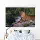 Leopard Laying On Kopje, Serengeti National Park Wall Mural