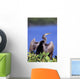 Anhinga Wall Mural