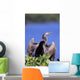 Anhinga Wall Mural