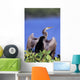 Anhinga Wall Mural