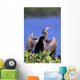 Anhinga Wall Mural