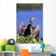 Anhinga Wall Mural