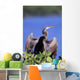 Anhinga Wall Mural