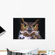 Portrait Of Great Horned Owl Wall Mural