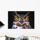 Portrait Of Great Horned Owl Wall Mural
