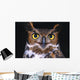 Portrait Of Great Horned Owl Wall Mural