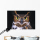Portrait Of Great Horned Owl Wall Mural