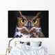 Portrait Of Great Horned Owl Wall Mural