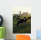 Dairy Cattle Grazing Wall Mural