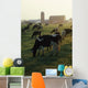 Dairy Cattle Grazing Wall Mural