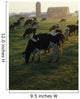 Dairy Cattle Grazing Wall Mural