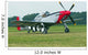 P-51 Mustang Wall Mural
