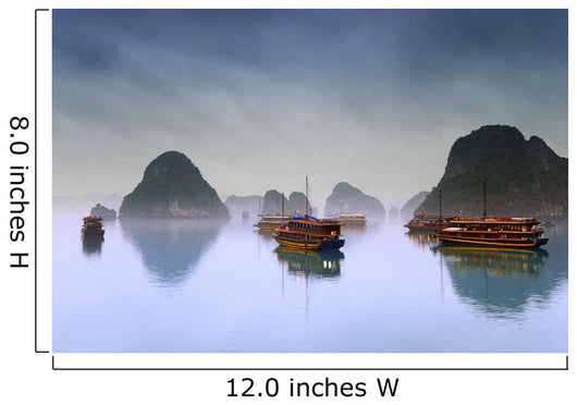 Hotel Junks, Halong Bay, Vietnam Wall Mural