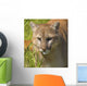 Cougar Wall Mural