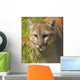 Cougar Wall Mural