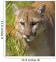 Cougar Wall Mural