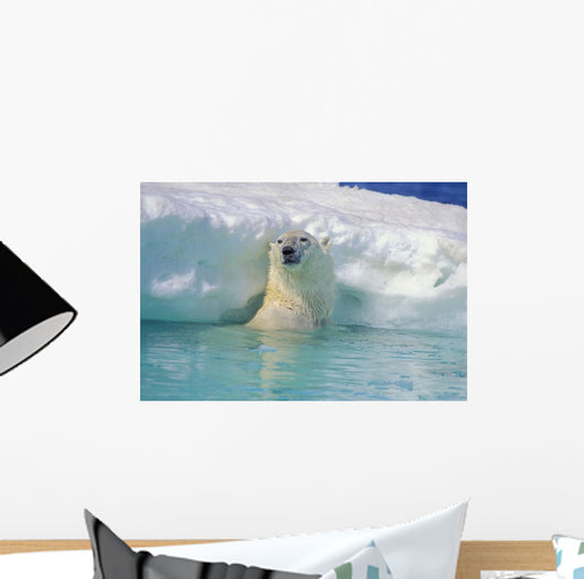 Polar Bear In Water Wall Mural